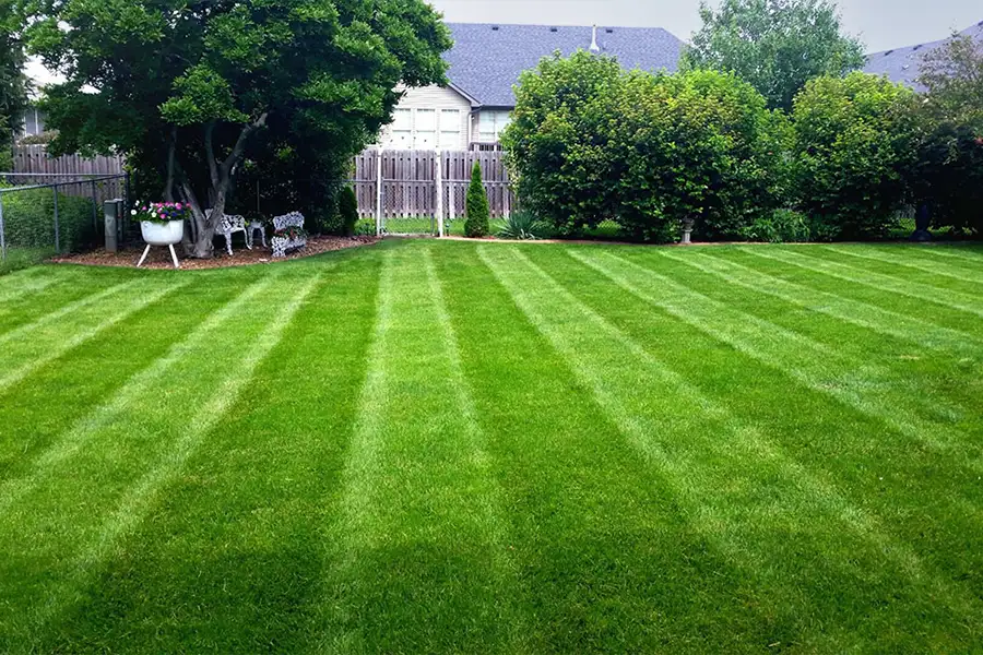 Deep Roots - well maintained lawn in Chatham, IL