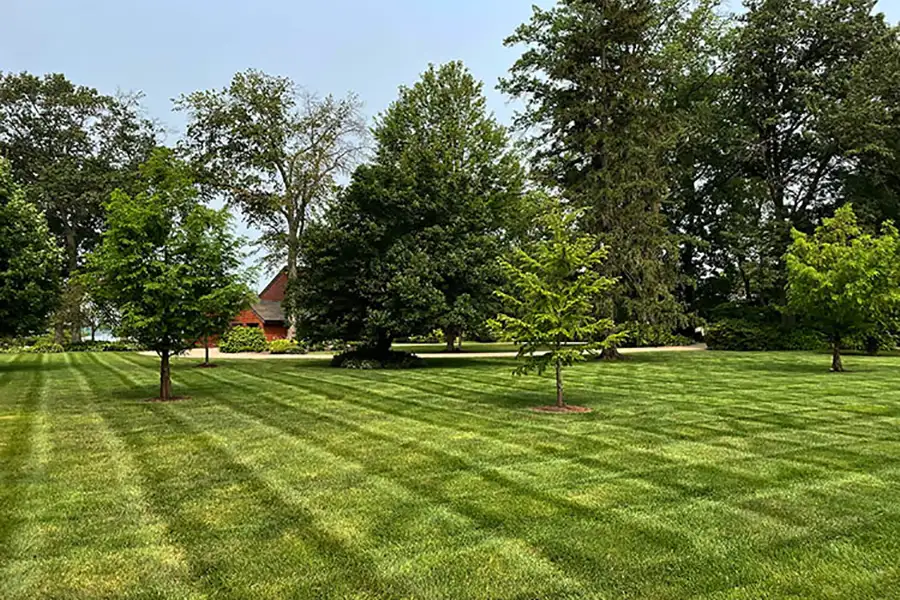 Deep Roots - well maintained lawn in Chatham, IL