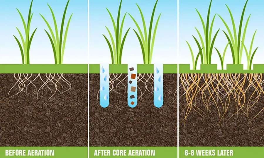 Diagram before and after aeration treatment - grass growth - Chatham, IL
